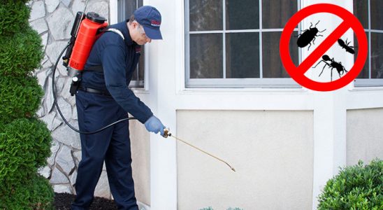 Çağlayancerit Bit İlaçlama böcek ilaçlama ve haşere kontrolü — ilaclama-tr.com
